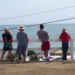 Meet your Posher, Patty